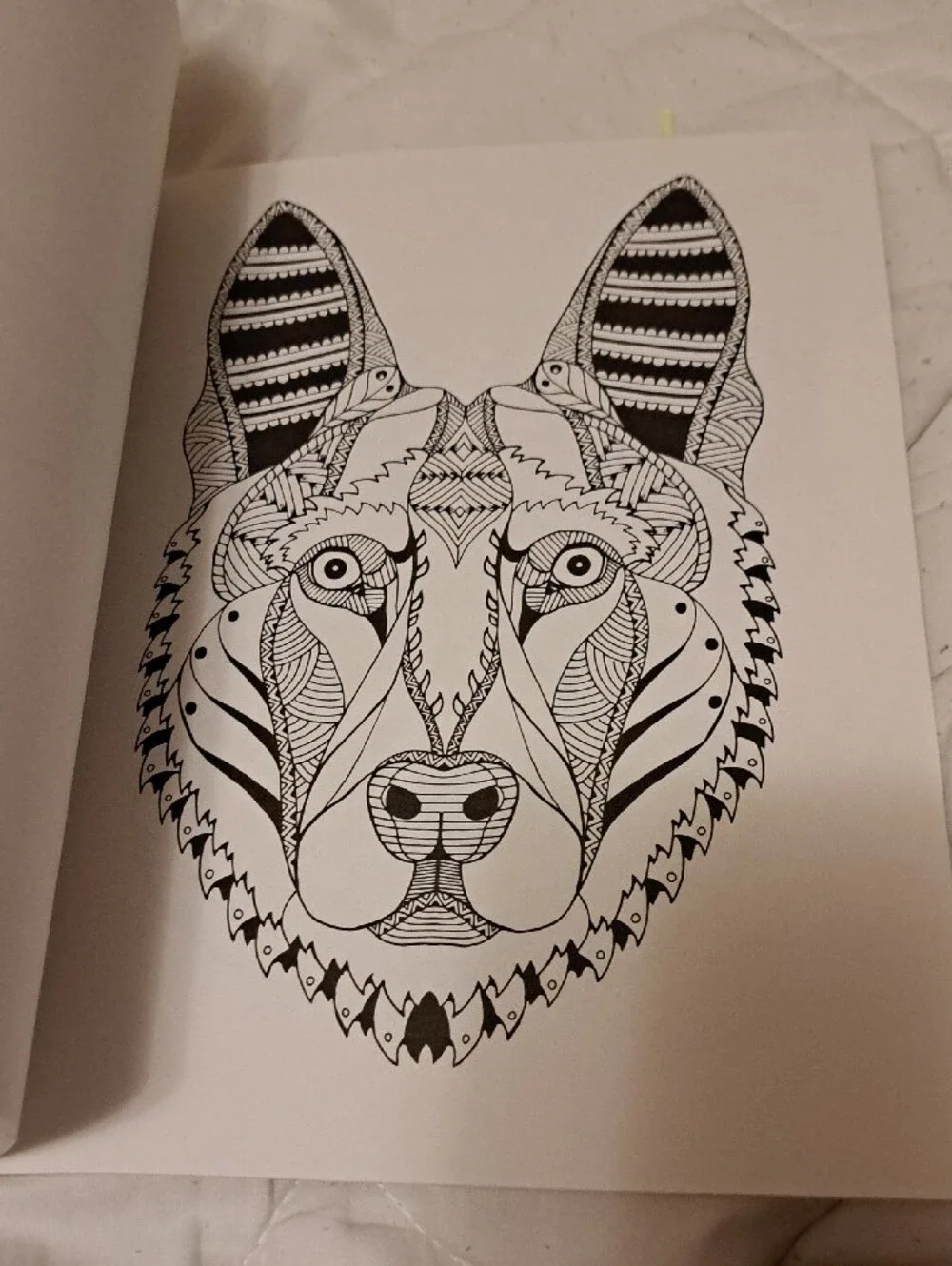 Colorama Delightful Dogs Coloring Book by Bullhead – Multicolor